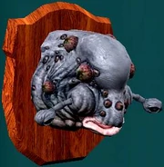 Wallugahuntingtrophy