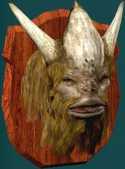 Kashyyykbanthahuntingtrophy