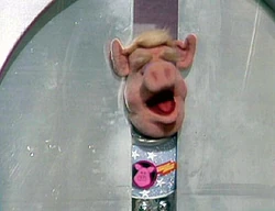 Pigsinspace209