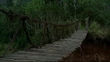 Thebridge.jpg