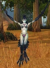 Witchwing Ambusher