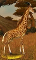 Wandering Barrens Giraffe.jpg