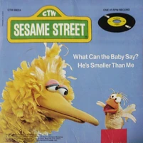 What Can the Baby Say?