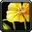 Inv misc flower 01