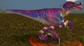Mottled Raptor.jpg