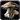 Lunar Fungus