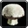 Inv mushroom 12