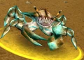 Shore Crawler.jpg