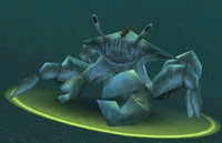 Image of Spined Crawler