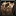 Inv chest leather 02.png