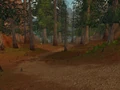 Webwinder Path.jpg