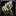 Inv hammer 11