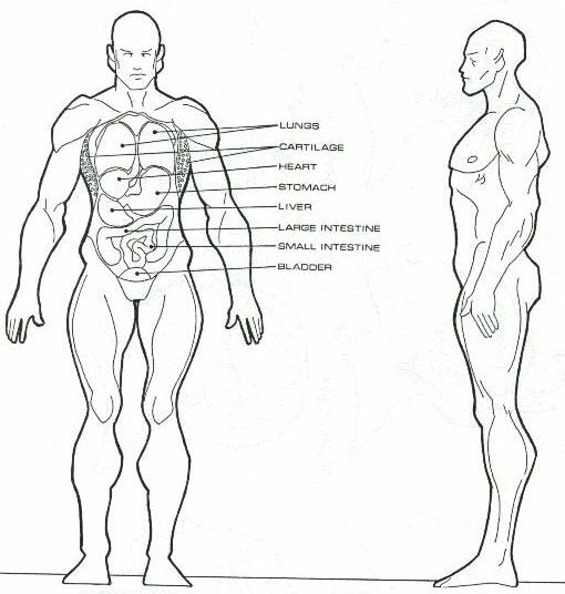 structural engineering reference manual