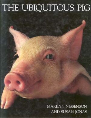 Ubiquitouspig