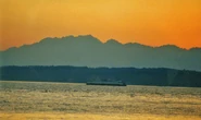 Ferry and Olympics