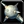 Inv mace 09