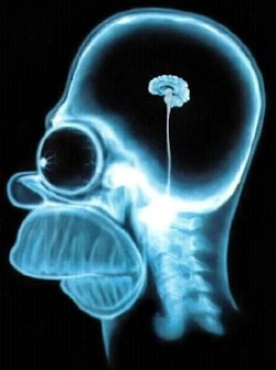 Homerhead.jpg