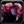 Inv mace23