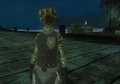 The Scrying Stones 03.jpg