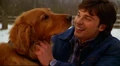 Smallville s04e14.jpg