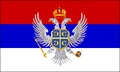SPTO flag.jpg