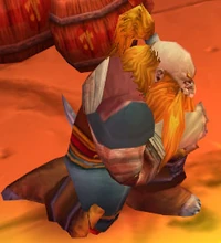 Hammertoe Grez