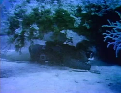 1041scuba