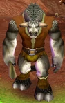 Pao'ka Swiftmountain