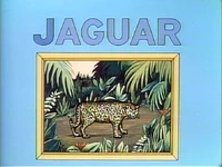 Jaguarpuzzle.jpg