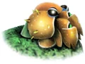 Hermitcrawmad.jpg