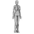 Jkm rastafemale preview.png