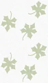 5-leaves cyc.jpg
