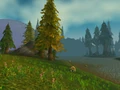 Misty Shore.jpg