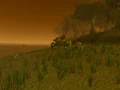 Misty Reed Strand.jpg