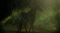 2x09 horse.JPG