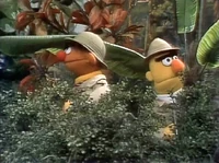 E&BJungle.jpg