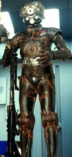 4-LOM.jpg