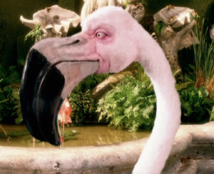 Flamingo-aw