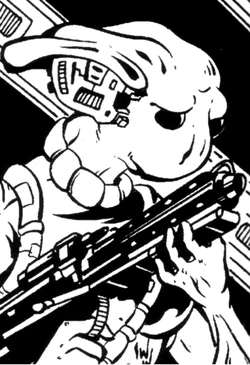 Hass Sonax.png
