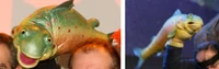 PuppetUp Fish