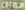 Currency Dollar