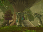 Dream Bough