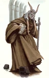 ChagrianNEGAS