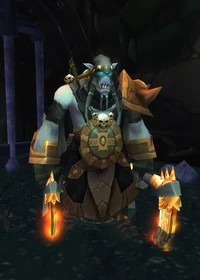 Wowbc akama
