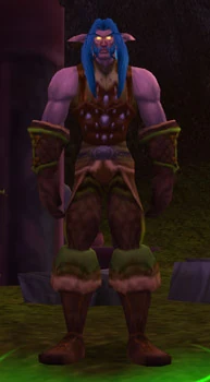 Image of Falfindel Waywarder