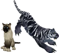 Cats.png