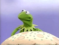 Necks.JPG