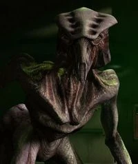 Species8472