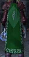 Ivy-shroud of Tunare (Equipped).jpg
