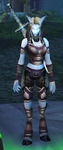 Vindicator Palanaar